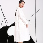   2017 spring summer women new solid color deep V collar long sleeve white dress white cotton shirt fashion tide 3540