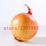 100 onion  Seeds Giant Onions Eksibishen Organic Russian Heirloom Vegetable Seeds for home garden