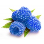 1000pcs rare raspberry seeds organic fruit seeds green red blue purple black raspberry seeds for home garden plant easy to grow