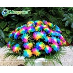 100PC Rainbow Chrysanthemum Flower Seeds, Ornamental Bonsai, Rare Color ,New Choose More Chrysanthemum Seeds Garden Flower Plant