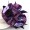 dark purple5 -$0.14