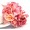 pink6 -$0.14