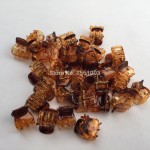 1cmx1.2cm 24pcs/pack Plastic Jaw Clip Hair Claw Clip Jaw Clamp Black Amber Mix Colors For Women Girls Baby Hair Accessory