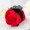 Red7 -$0.55