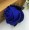 Royal Blue10 -$0.55