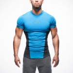 2016 New T-shirt men Tights Fitness Quick Dry Casual Stretch Top Tee Shirt Fitness Mma Plus Size Hot Sale