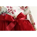 2017 Baby Girls Floral Mesh Ball Long Sleeve Dresses, Princess Kids Spring Dazzel Bow Cute Dress 