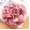 pink6 -$0.91