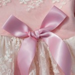 2017 New Spring Korean Style Girls Dress Cute Pears BowKnot Lace Longsleeves Princess Dress For Wedding And Party Kids Clothing 