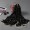 black5 -$2.38