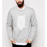 2017 new autumn winter fashion owl animal sweatshirt hoodies hip hop style harajuku hoody top brand clothing drake funny hoody