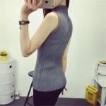 2017 spring autumn turtleneck tanks women sleeveless top crop female stand collar elastic force vest female pull femme sexy top