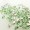 light green9 -$0.51