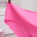 5 pieces / lot! Hot sale! Original New Ultra-thin sexy Women Seamless Traceless Sexy lingerie Underwear Panties Plus Size Briefs