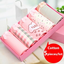 5pcs /Lot Panties Hot Sale Sexy Cotton Traceless Women lingerie Seamless Women's Briefs  Women Plus Size Underwear Intimates