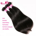8A Brazilian Virgin Hair Straight 3 Bundles Straight Human Hair extensions Brazilian Straight Hair Brazilian Hair Weave bundles