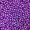 Purple12 -$0.08