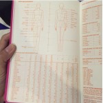 A5 Fashion Designer Notebook Marker Sketchbook Dotted line Body Workbooks  Designer Notebook 82 Sheets Paper Dress