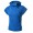royal blue2 -$3.31