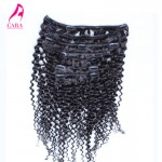 African American Clip In Human Hair Extensions 7A Brazilian Virgin Hair Kinky Curly Clip In Hair Extensions 7Pcs 120G Clip Ins