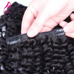 African American Clip In Human Hair Extensions 7A Brazilian Virgin Hair Kinky Curly Clip In Hair Extensions 7Pcs 120G Clip Ins