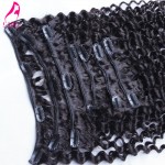 African American Clip In Human Hair Extensions 7A Brazilian Virgin Hair Kinky Curly Clip In Hair Extensions 7Pcs 120G Clip Ins