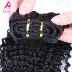 African American Clip In Human Hair Extensions 7A Brazilian Virgin Hair Kinky Curly Clip In Hair Extensions 7Pcs 120G Clip Ins