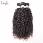 Afro Kinky Curly Virgin Hair With Brazilian Curly Virgin Hair With Closure 4 Bundles With Closure Human Hair Weave With Closure