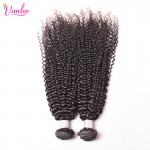 Afro Kinky Curly Virgin Hair With Brazilian Curly Virgin Hair With Closure 4 Bundles With Closure Human Hair Weave With Closure