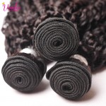 Afro Kinky Curly Virgin Hair With Brazilian Curly Virgin Hair With Closure 4 Bundles With Closure Human Hair Weave With Closure