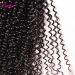Afro Kinky Curly Virgin Hair With Brazilian Curly Virgin Hair With Closure 4 Bundles With Closure Human Hair Weave With Closure