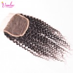 Afro Kinky Curly Virgin Hair With Brazilian Curly Virgin Hair With Closure 4 Bundles With Closure Human Hair Weave With Closure