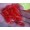red 20pcs4 -$0.37