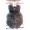 front length 65cm7 -$51.98