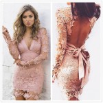 Black Pink Backless Deep V neck Sexy Lace Dress 2016 New Fashion Embroidery Hollow Out Long Sleeve Elegant Women Party Dresses