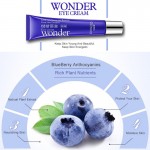 Blueberry Anti-aging Anti-Wrinkle Dark Circle Remover Moisturizer Women Eye Cream 20g E4