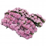 CCINEE 144PCS One lot  1cm Head Multicolor Artificial Paper Flowers Rose Used For Decorative Gift