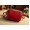 Red6 -$10.12
