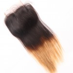 Cheap Malaysia Virgin Straight Hair With Lace Closure Wet Soft Lace Frontal Closure with Bundles Ombre Hair with Closure L