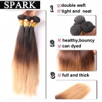 Cheap Malaysia Virgin Straight Hair With Lace Closure Wet Soft Lace Frontal Closure with Bundles Ombre Hair with Closure L