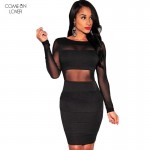 Comeonlover Sheer Mesh Bodycon Sheath Women Dress Black Long Sleeve Dresses Women Clothing Sexy Dress Plus Size Club Dress