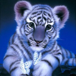 Diamond Embroidery Tiger 5D Diy Diamond Painting Full Dill Square Diamond Mosaic Animals Home Decoration Paintings KJ217 