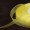 Yellow16