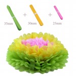 FENGRISE Wedding Decoration Events 5 pcs 20 25 30 cm Pom Pom Tissue Paper Pompom Ball Party Supplie Baby Shower Birthday Garland