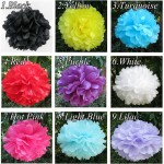 FENGRISE Wedding Decoration Events 5 pcs 20 25 30 cm Pom Pom Tissue Paper Pompom Ball Party Supplie Baby Shower Birthday Garland