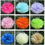 FENGRISE Wedding Decoration Events 5 pcs 20 25 30 cm Pom Pom Tissue Paper Pompom Ball Party Supplie Baby Shower Birthday Garland