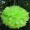 Green3 -$0.12