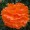 Orange2 -$0.12