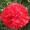 Red10 -$0.12