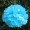 Turquoise9 -$0.12